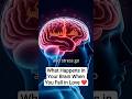 What Happens in Your Brain When You Fall in Love ❤️🧠 #howyourbodyworks #brainhealth