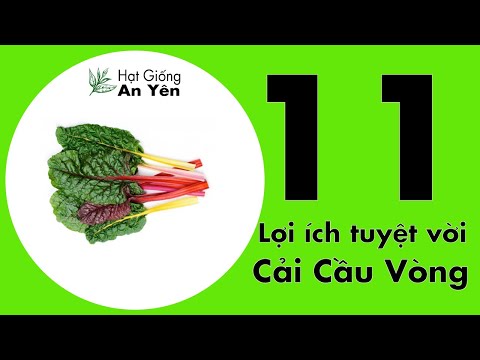 Video: Trồng Cải Thụy Sĩ Từ Hạt Giống - Làm Thế Nào Và Khi Nào Gieo Hạt Giống Chard Thụy Sĩ