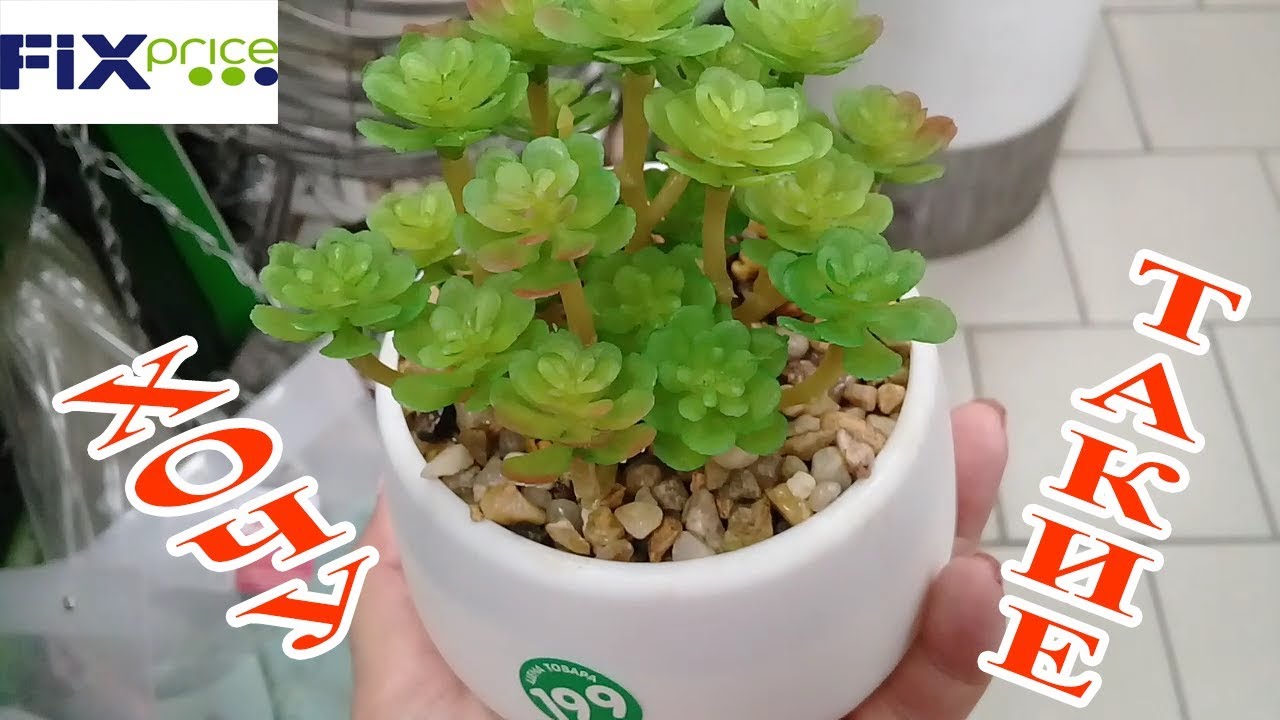 цветы фикс прайс иваново