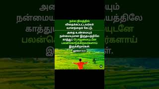 TODAY'S PROMISE WORD OF GOD #trending#shorts#shortsfeed#viral#short#jesus#tamilbible#walkwithjesus
