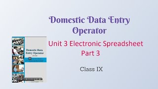 Domestic Data Entry Operator | Class IX | Unit 4 Electronic Spreadsheet Part 3