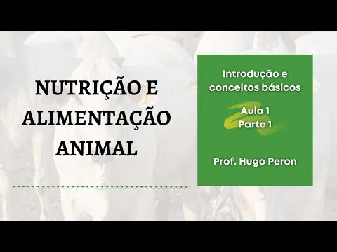 Vídeo: Cuidado Com O 'especialista' Em Nutrição De Animais De Estimação
