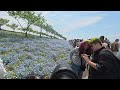【耳の保養】5Dmark3シャッター切る瞬間集