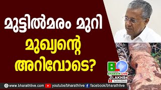മുട്ടില്‍മരം മുറി മുഖ്യന്റെ അറിവോടെ |Anto Augustine |Pinarayi Vijayan|CPM|CPI|LDF|CPIM |Bharath Live