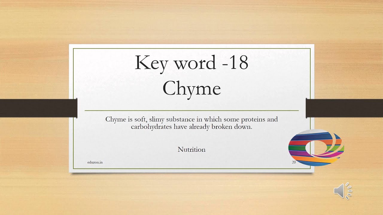 key words nutrition youtube