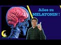 MELATONIN - Die wichtigsten Fragen und Antworten rund um das Schlafhormon!