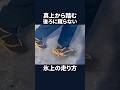 真上から踏む 後ろに蹴らない 氷上の走り方　#shorts #江戸時代の走り方 #ナンバ走り #氷上 #アイスバーン