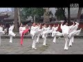 KOU-公園太極拳・24式簡化太極拳／朝の練習(中国)