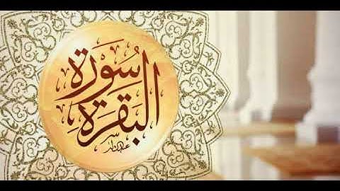 سورة البقرة بصوت القارئ الشيخ صلاح ابو خاطر تريح القلب وتزيح الهم وتبعد العين وتحفظ القلب والعقل