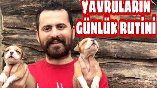 Yavru Bakimi Yavrularimizin Günlük Ruti̇ni̇