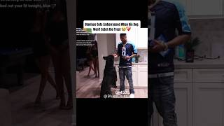 Blueface Gets Embarrassed When His Dog Won’t Catch the Treat 😭❤️‍🩹 #blueface #ytshorts #fyp