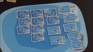 How to Play: Overcoming the Thai Fishing Crisis (Yellow Cards) screenshot 2