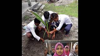 Green School, Clean School