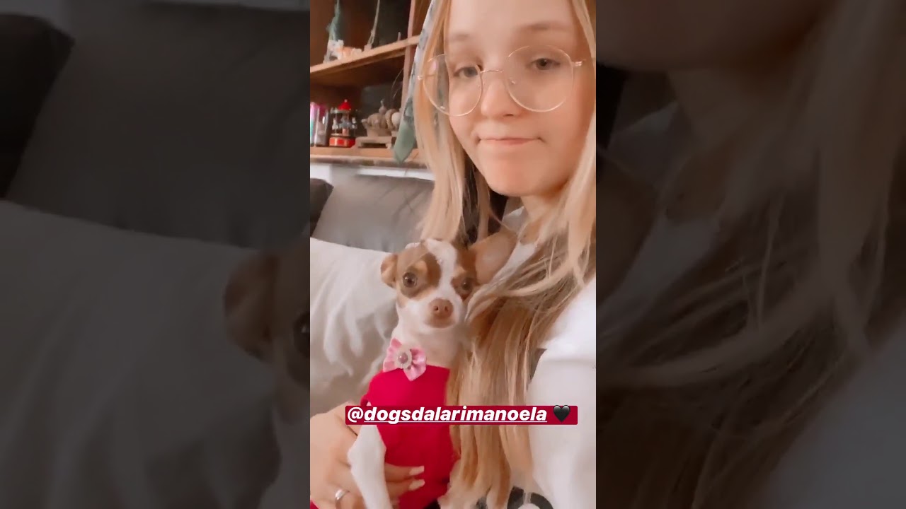 Larissa Manoela Stories, December 23, 2019