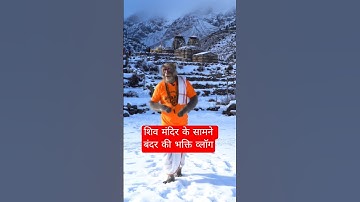 Bandar Vlogging on Himalaya #ai #veo3 #vlog #monkey #monkeyvlogs