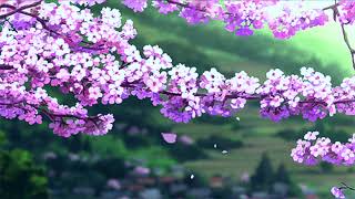 lucky daye-  soft(slowed & reverb) screenshot 2