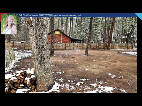 348 W Columbine Road Christopher Creek, Payson, AZ home video tour
