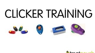 Introduction to Dog Training / Clicker Training Wealth