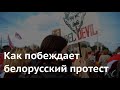 ЖИВАЯ СТЕНА. Как побеждает белорусский протест