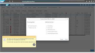 A.F.C - P.E.O - Part 1 - Processing Batch Input Plans - parte 14