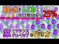 紫ヒヤシンスと紫チューリップの作り方/「レア花島」に咲いた花を人工的に作って交配すると全行程確率25%!【あつ森】