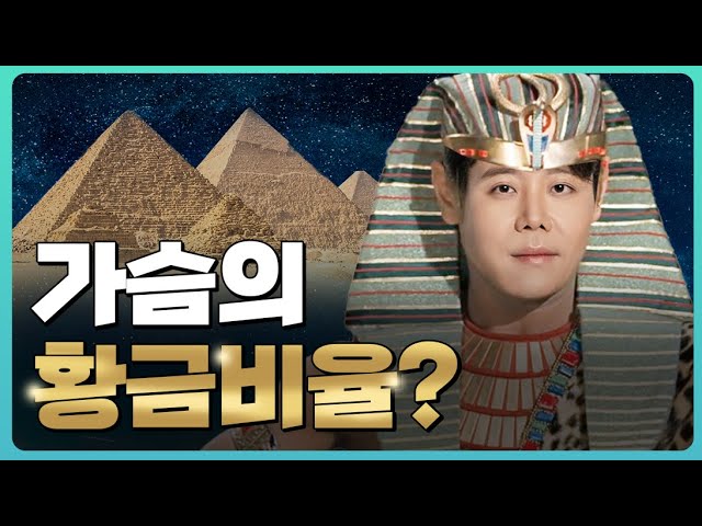 [가슴 수술] 가슴의 황금비율?