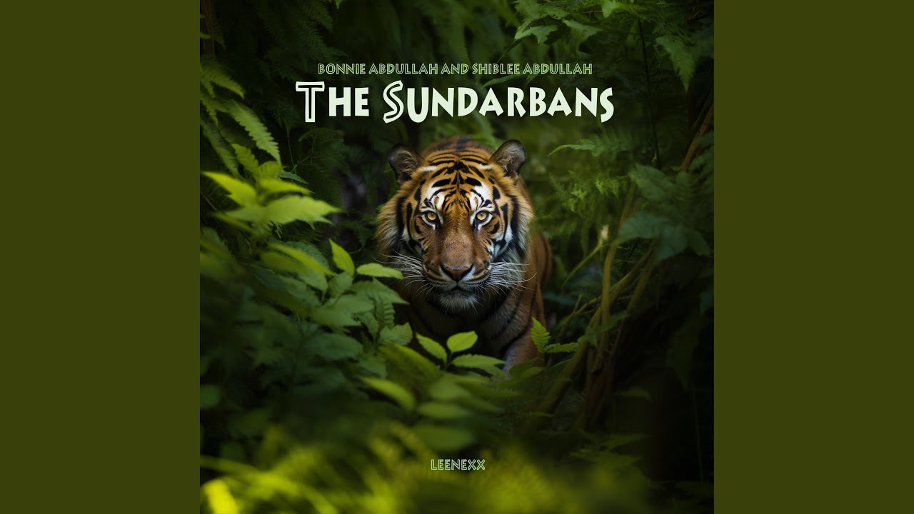 Guarda Tiger Widow su YouTube Guarda Tiger Widow su YouTube