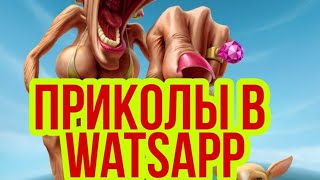 Приколы в родительском чате. Смешная переписка в WatsApp. Приколы. Ржачь. 2020