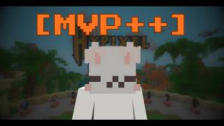 What your Hypixel Rank says about you