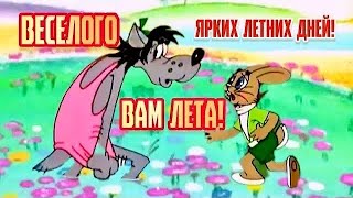 Веселого лета! Отличного настроения🔥Смешное поздравление с летом 👍