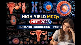 Human Reproduction-4 | High-yield Mcqs For Neet 2026 🔥 | Ncert Based | Best For Neet