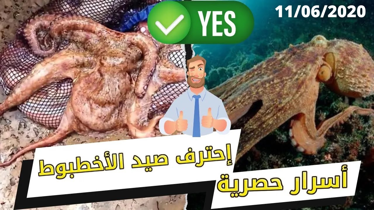 🐚 اسهل طريقة لصيد الاخطبوط (الروطال🐙) الأسرار و الحيل المستعملة  🐙