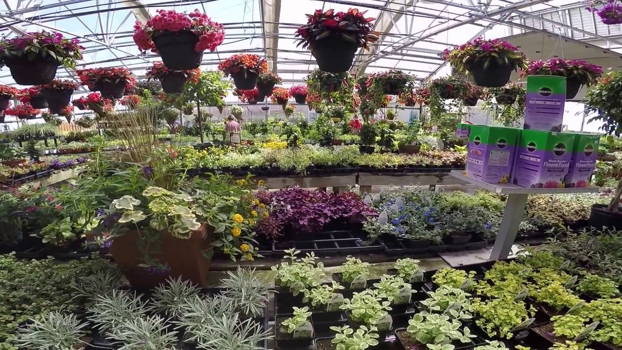 Culver's Garden Center & Greenhouse