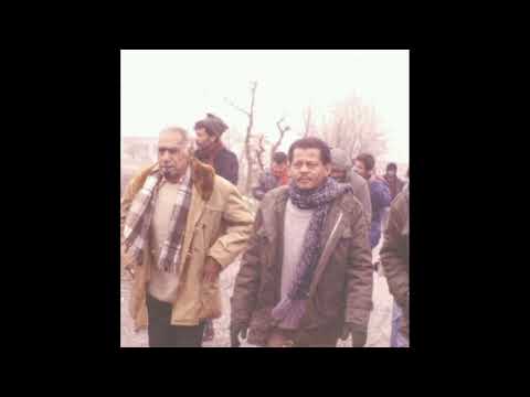 Our Precious Treasure 