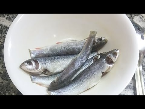 Bengali Fish Masala Recipe - YouTube