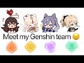 Meet my Genshin Team 😟