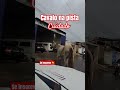 Cuidado Cavalo na pista