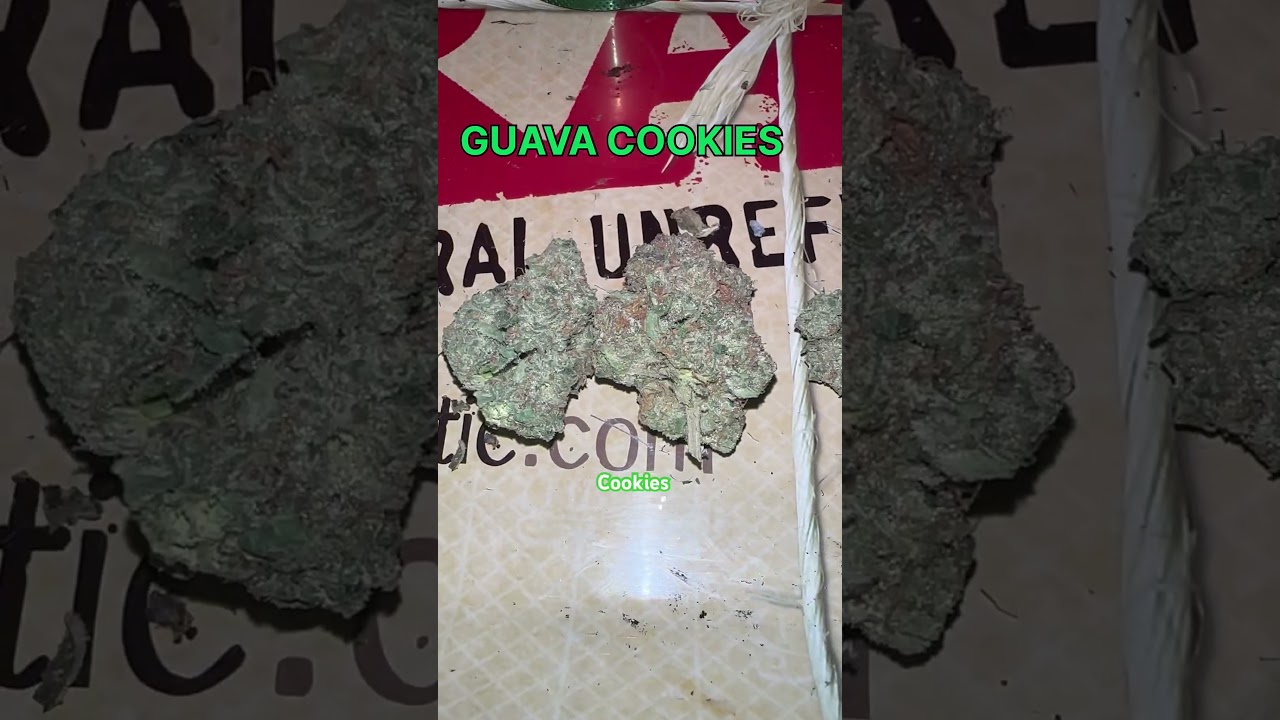 Guava Cookies Cannabis Flower Strain 