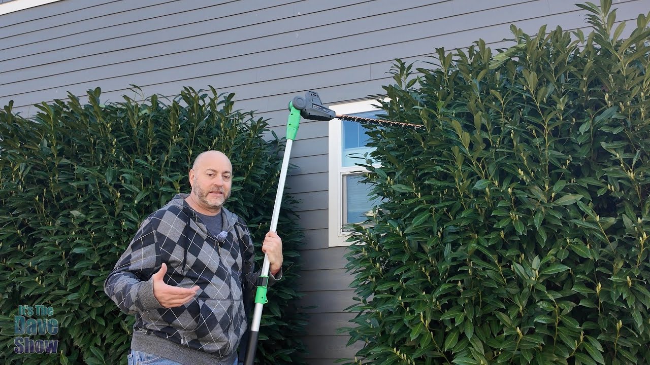 how to trim tall bushes, cordless hedge trimmer - YouTube