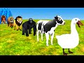 Duck Cartoon Paint Animals Gorilla Cow Lion Dinosaur Horse Elephant Wild Animals Crossing Fountain