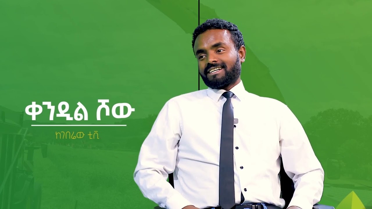 ከዘመናዊ የንብ ቀፎ እስከ 20 ኪሎ ግራም ማር በአንድ ጊዜ መቁረጥ ይቻላል