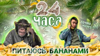 24 ЧАСА ПИТАЮСЬ ТОЛЬКО БАНАНАМИ!!!