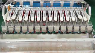 Smart Tomato Multihead Weigher Tray Packing Line