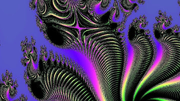 8-D Groupoid Algebra Fractals