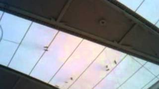 VID_20101229_172438.3gp