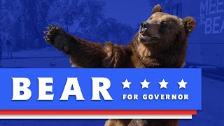 Vote Bear