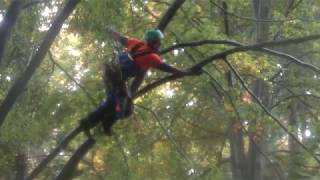Dan Kraus wins 2018 Pacific Northwest Chapter ISA Tree Climbing Competition