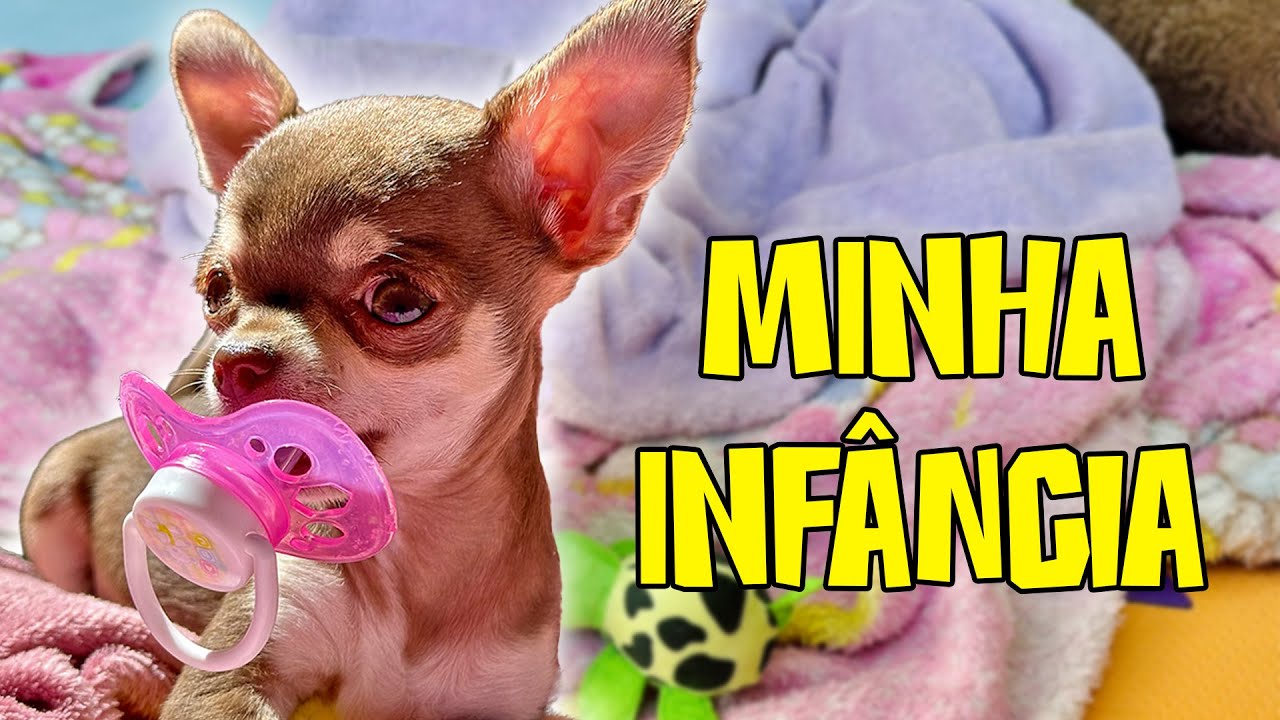 A INFÂNCIA DA POLENTA 👑