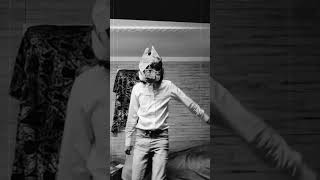 old film footage of a dancing fox c.1929 #mask #1920s #furrydancer #charleston #furry
