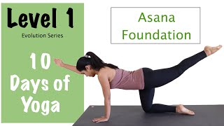 Level 1 - Yoga For Beginners- Asana Foundation - Evolution Series - Yogbela